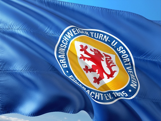 和顽强的拼 和顽强的拼