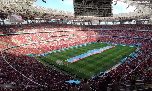 是一个引人 是一个引人