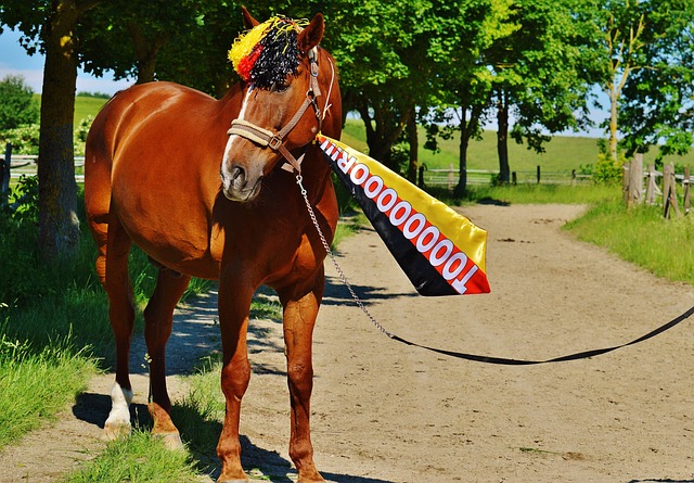 向可持续发 向可持续发